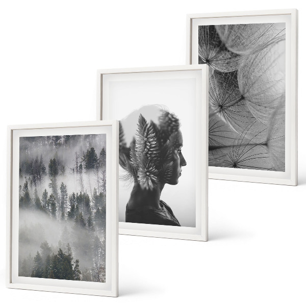 Set of 3 framed wall art pieces Forest fog portrait tree dandelion
