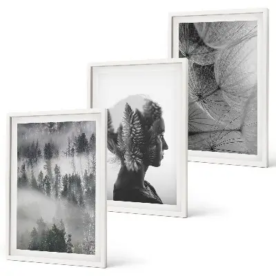 Set of 3 framed wall art pieces featuring a forest fog portrait with trees and dandelions