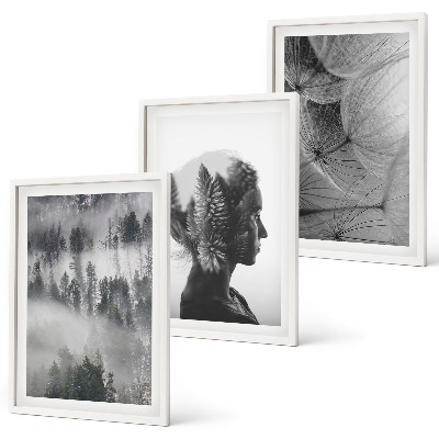 Set of 3 framed wall art pieces Forest fog portrait tree dandelion