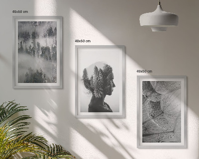 Set of 3 framed wall art pieces Forest fog portrait tree dandelion