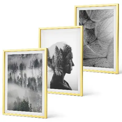 Set of 3 framed wall art pieces featuring a forest fog portrait with trees and dandelions