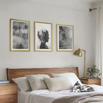 Set of 3 framed wall art pieces featuring a forest fog portrait with trees and dandelions