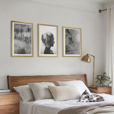 Set of 3 framed wall art pieces Forest fog portrait tree dandelion