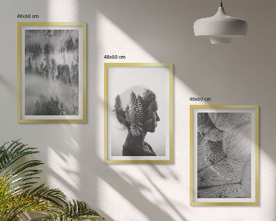 Set of 3 framed wall art pieces Forest fog portrait tree dandelion