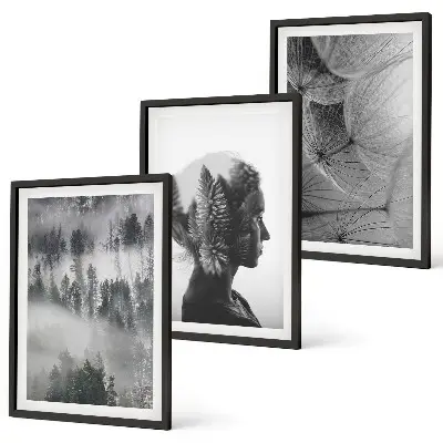 Set of 3 framed wall art pieces featuring a forest fog portrait with trees and dandelions