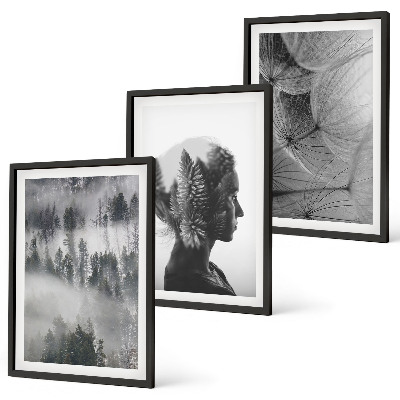 Set of 3 framed wall art pieces Forest fog portrait tree dandelion