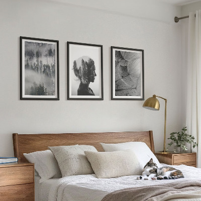 Set of 3 framed wall art pieces Forest fog portrait tree dandelion