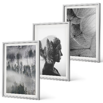 Set of 3 framed wall art pieces Forest fog portrait tree dandelion