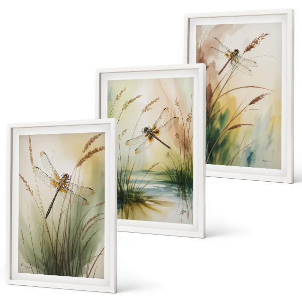 Set of 3 framed wall art pieces Dragonflies grass water painting