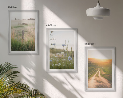 Three-piece wall art piece Landscapes nature fields path