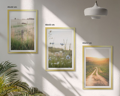 Three-piece wall art piece Landscapes nature fields path