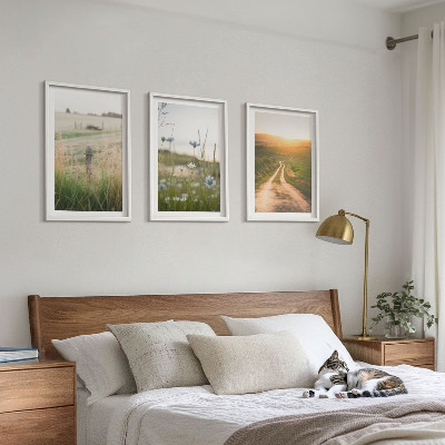 Three-piece wall art piece Landscapes nature fields path