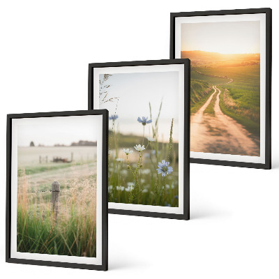 Three-piece wall art piece Landscapes nature fields path