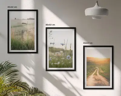 Three-piece landscape wall art featuring a nature path through fields