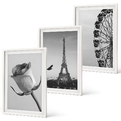 Three-piece wall art piece Rose Eiffel Tower Ferris wheel