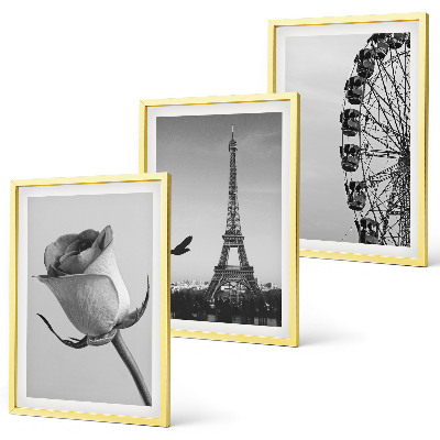 Three-piece wall art piece Rose Eiffel Tower Ferris wheel
