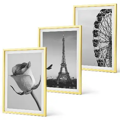 Rose Eiffel Tower Ferris wheel wall art three-piece set