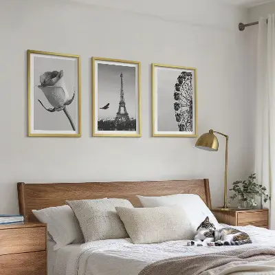Rose Eiffel Tower Ferris wheel wall art three-piece set
