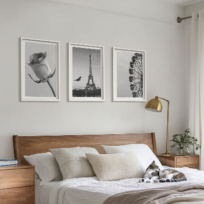Three-piece wall art piece Rose Eiffel Tower Ferris wheel