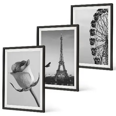 Rose Eiffel Tower Ferris wheel wall art three-piece set