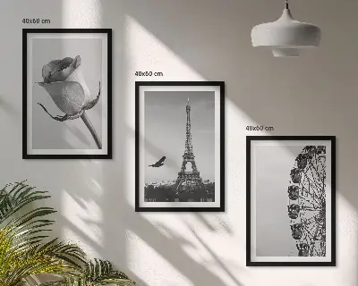 Rose Eiffel Tower Ferris wheel wall art three-piece set