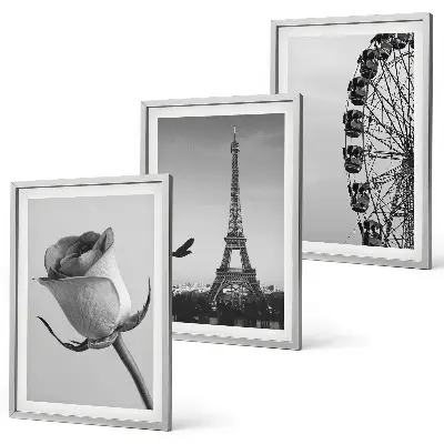 Rose Eiffel Tower Ferris wheel wall art three-piece set