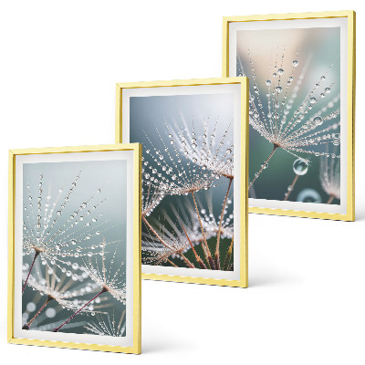 Wall art set Water drops on dandelion shoots