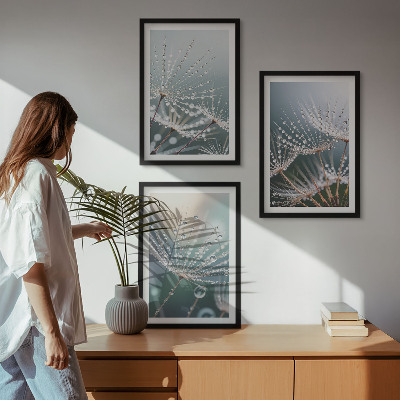 Wall art set Water drops on dandelion shoots