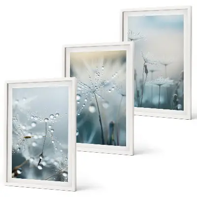 Dewdrops on dandelions three-piece wall art set