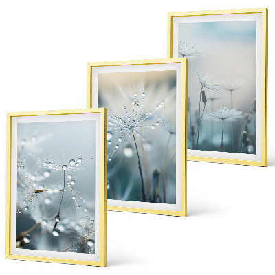 Three-piece wall art piece Dewdrops on dandelions