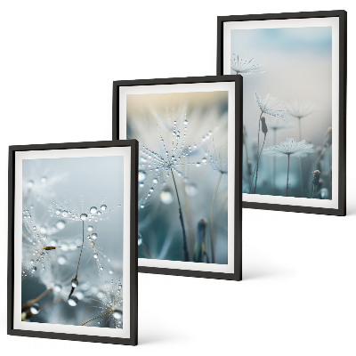 Three-piece wall art piece Dewdrops on dandelions