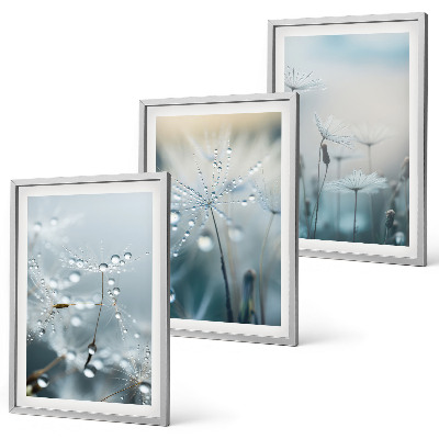 Three-piece wall art piece Dewdrops on dandelions