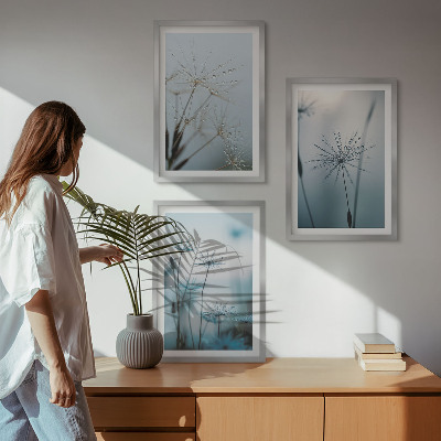 Set of 3 framed wall art pieces Dandelions with water drops