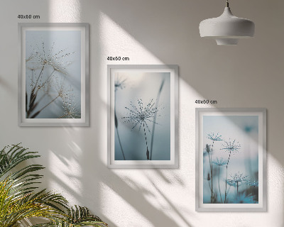 Set of 3 framed wall art pieces Dandelions with water drops