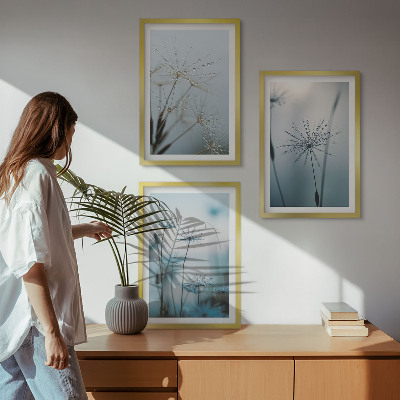 Set of 3 framed wall art pieces Dandelions with water drops