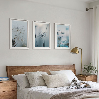 Set of 3 framed wall art pieces Dandelions with water drops