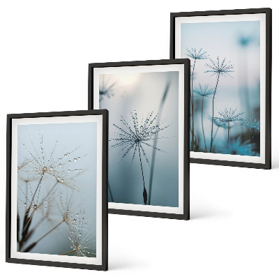 Set of 3 framed wall art pieces Dandelions with water drops