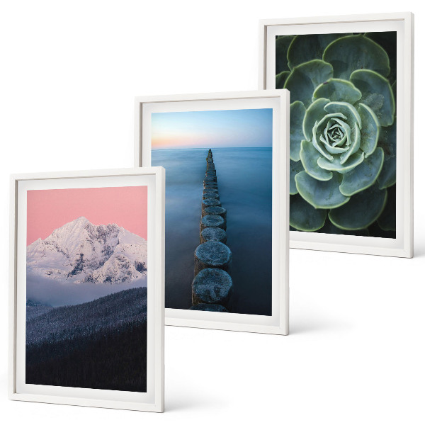 Three-piece wall art piece Mountains pink sky water succulent