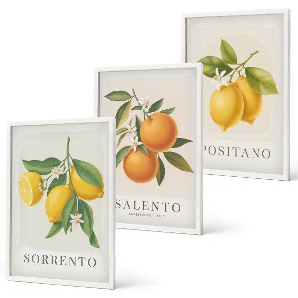 Three-piece wall art piece Amalfi lemons and oranges