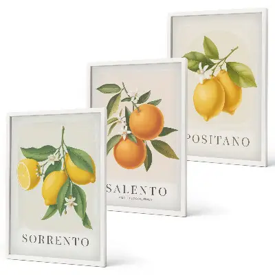 Amalfi lemons and oranges wall art three-piece set