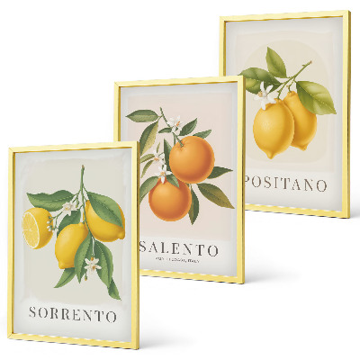 Three-piece wall art piece Amalfi lemons and oranges