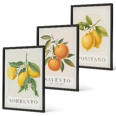 Three-piece wall art piece Amalfi lemons and oranges