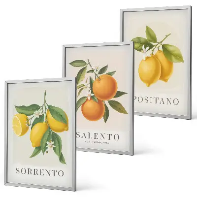 Amalfi lemons and oranges wall art three-piece set