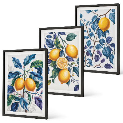 Set of 3 framed wall art pieces Lemon branches blue leaves