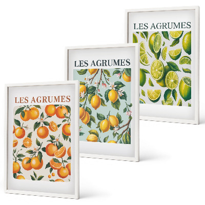 Three-piece wall art piece Fruity citrus pastel patterns