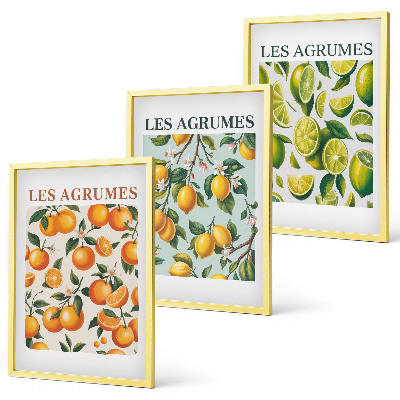 Three-piece wall art piece Fruity citrus pastel patterns