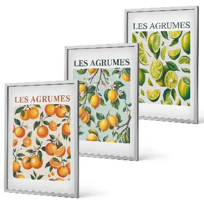 Three-piece wall art set with fruity citrus pastel patterns