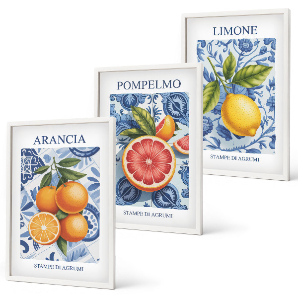 Wall art set Citrus Fruit Vintage Illustrations