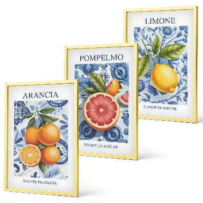 Citrus Fruit Vintage Illustrations wall art set
