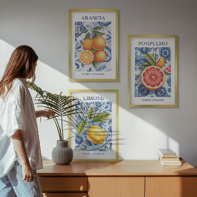 Wall art set Citrus Fruit Vintage Illustrations